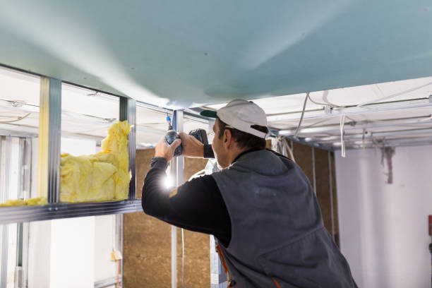 Best Insulation Maintenance and Repair in Heath, TX